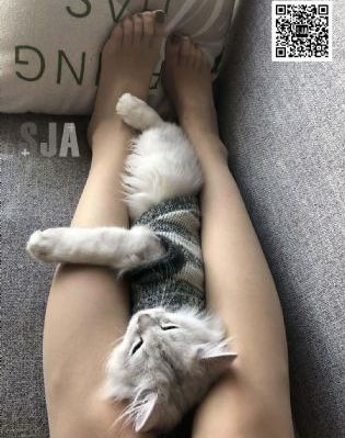谈判专家 电视剧