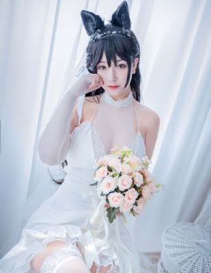 白夜追凶免费观看电视剧完整版