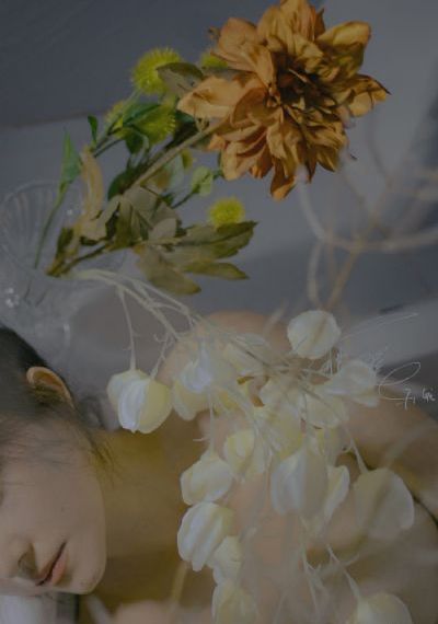 与黑帮大佬的365天