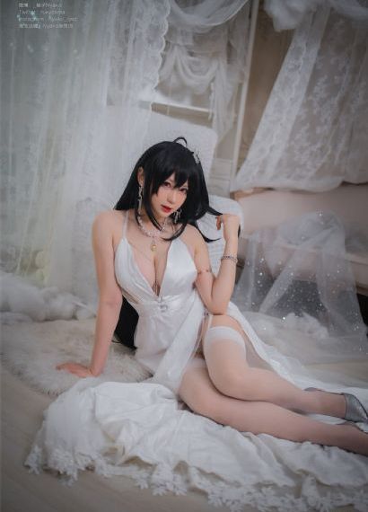 女人的品格免费观看完整版电视剧