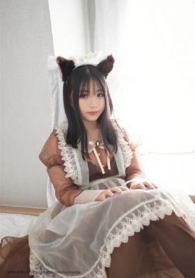 假面骑士甲斗王