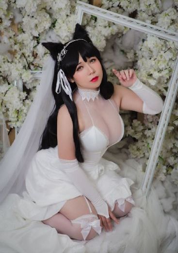 科搜研之女
